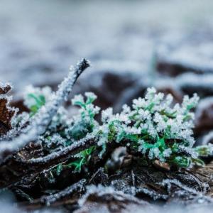 La Nature en hiver - Balade nature à la Plage Bleue