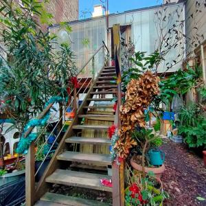 Révélations végétales : une balade nature dans le 20ème arrondissement de Paris