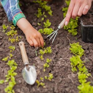 Atelier jeune public Jardiniers en herbe à l'Institut des Cultures de l'Islam