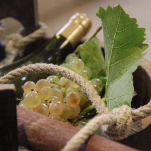 Découverte de la production du vin au Fort de Sucy