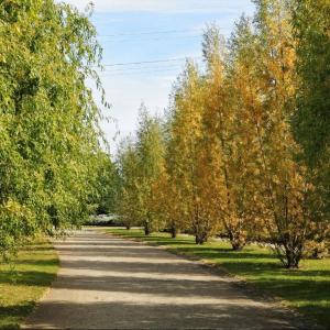 Balade au Parc Départemental des Chanterraines