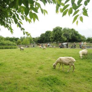 Balade au Parc Départemental des Chanterraines