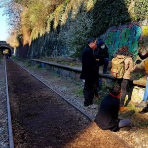 Botanique et poésie sur la petite ceinture du 14e