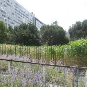 Le jardin Atlantique de la gare Montparnasse