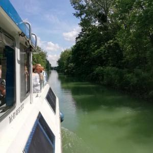 Croisière à la découverte de la biodiversité de la Marne au départ de Joinville-le-Pont