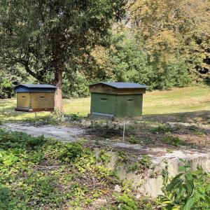 L'apiculture dans le Parc de la Fondation des Artistes