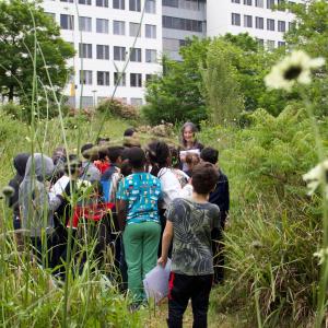 Balade sonore à l'écoute du jardin de la Maison des Sciences de l'Homme Paris Nord