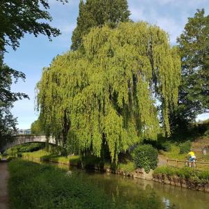 Balade à vélo sur l'Ourcq et visite guidée du parc de la Poudrerie