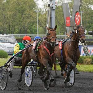 Au cœur des qualifications du Grand Prix d'Amérique