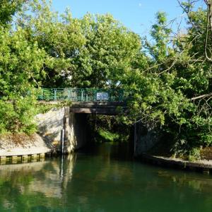 Croisière sur la Marne : à la découverte des paysages fluviaux