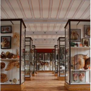 Le Musée Fragonard © Jebulon