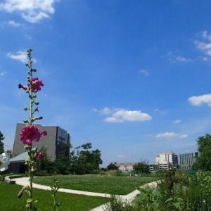 Le jardin Serge-Gainsbourg