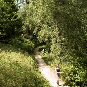 Ailleurs au Bois de Montjean - Promenade sonore à Fresnes