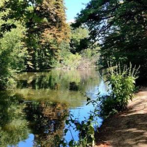 Marche et méditation à Saint-Mandé