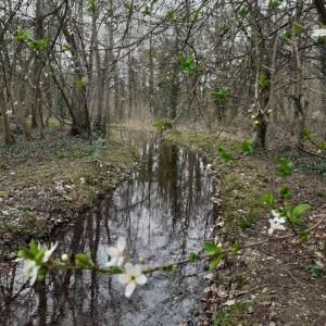 Marche et méditation à Saint-Mandé