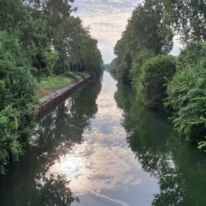 Croisière patrimoniale sur l'histoire du Canal de Chelles