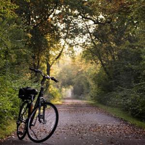 Balade à vélo - Festival Théâtre, Amour & Transats