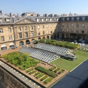 Le premier vignoble en toiture de Paris - Le Marais