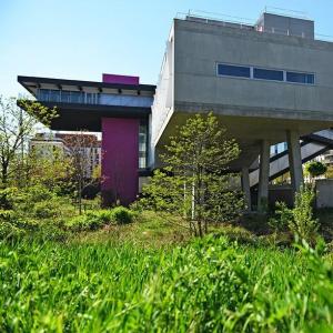 La Maison des Sciences de l'Homme Paris Nord et de son jardin