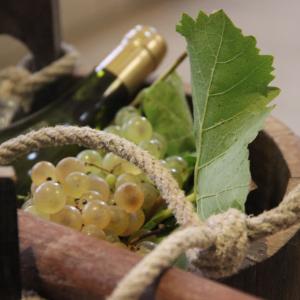 Les vignes de Sucy-en-Brie - Journées du Patrimoine