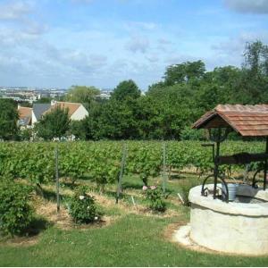 Les vignes de Sucy-en-Brie - Journées du Patrimoine