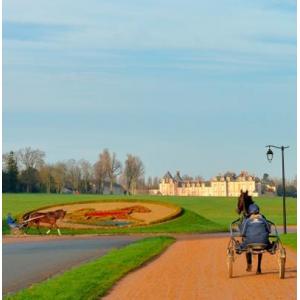 Visite du Centre Hippique de Grosbois - Grosbois Dans le Rétro