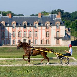 Visite du Centre Hippique de Grosbois - Grosbois Dans le Rétro