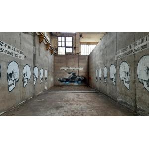 Histoire de l'Usine Babcock et de son parcours d'art urbain - Visite LSF
