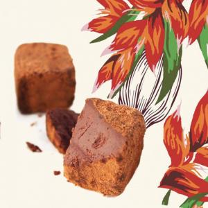 Atelier Fabriquez vos truffes chez Rrraw Cacao Factory