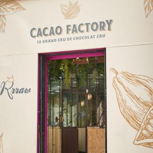 Atelier Fabriquez vos truffes chez Rrraw Cacao Factory