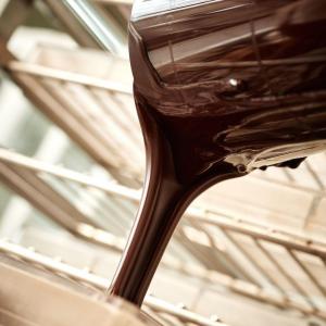 Atelier fabrication de tablettes de chocolat vegan chez Rrraw Cacao Factory
