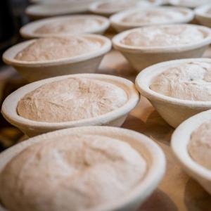 Visite d'une boulangerie artisanale - Le Façonneur