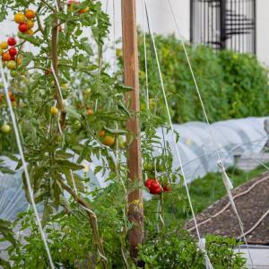 Atelier jardinage à la ferme urbaine de l’Opéra Bastille