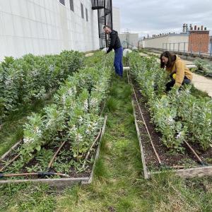 Atelier jardinage à la ferme urbaine de l’Opéra Bastille