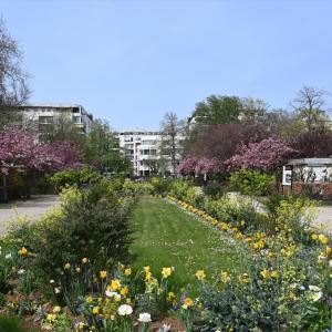 Parcours Jardins et biodiversité animale à Courbevoie