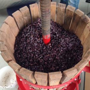 Visite-dégustation avec un vinificateur artisanal