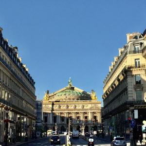 Haussmann's renovation of Paris : the birth of a mythical city