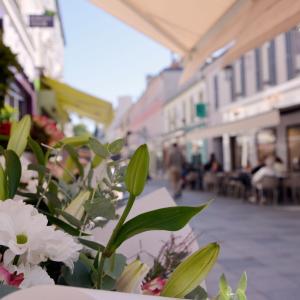 (c) Maison du Tourisme de Sceaux