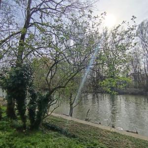 [Fête de la Nature]  Les Îles de la Marne « Réserve naturelle départementale » à Champigny-sur-Marne