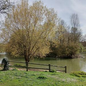 [Fête de la Nature]  Les Îles de la Marne « Réserve naturelle départementale » à Champigny-sur-Marne