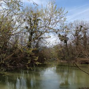 [Fête de la Nature]  Les Îles de la Marne « Réserve naturelle départementale » à Champigny-sur-Marne