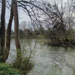 [Fête de la Nature]  Les Îles de la Marne « Réserve naturelle départementale » à Champigny-sur-Marne