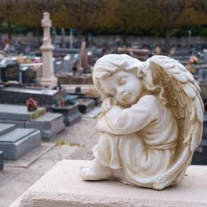 Balade ornithologique, contée et musicale au cimetière de Pantin