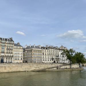 Historical Guided Tour within hôtels particuliers of the Île de la Cité and the Île Saint-Louis in Paris