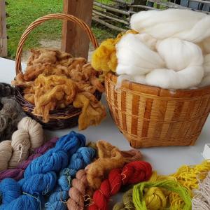 Atelier : De la Laine au Fil, lors de la  Fête de la Nature à l’archéosite de la Haute-Île