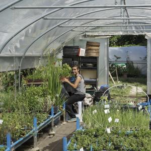 Visite des pépinières de quartier et découverte des plantes locales.