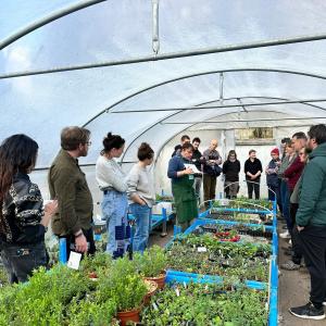 Visite des pépinières de quartier et découverte des plantes locales.