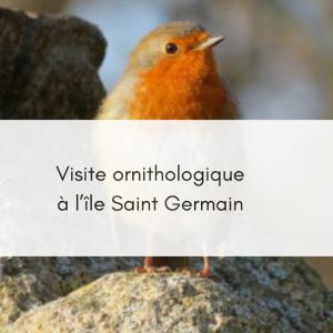 Visite guidée Ornithologique à l'île