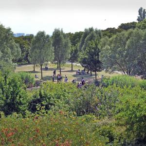 A la découverte de la biodiversité urbaine au parc Jean-Moulin-Les Guilands