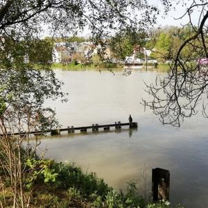 Découverte sensorielle des bords de Marne - Rendez-vous aux jardins 2024